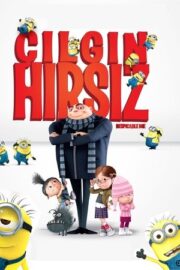 Çılgın Hırsız 1 2010