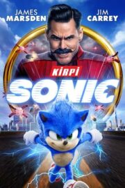 Kirpi Sonic 1 2020