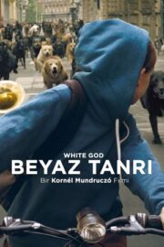 Beyaz Tanrı 2014