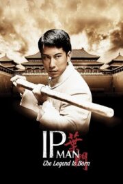 Ip Man Efsane Doğuyor 2010