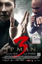Ip Man 3 2015