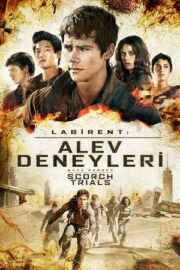 Labirent 2 Alev Deneyleri 2015