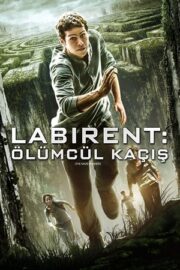 Labirent 1 Ölümcül Kaçış 2014