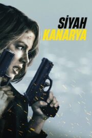 Siyah Kanarya 2024