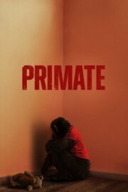Primat 2026