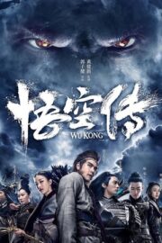 Wu Kong Hikayesi 2017