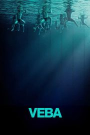 Veba 2025