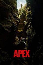 Apex 2026