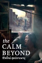 The Calm Beyond 2020