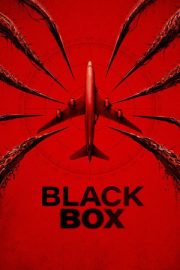 Black Box (Flight 298) 2026