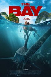 The Bay 2026
